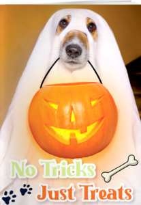 A dog dressed as a ghost with a white sheet holds a glowing jack-o’-lantern bucket. Text reads, “No Tricks Just Treats,” with paw prints and a bone illustration.